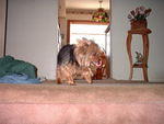 2003_0420LookAtThatTongue