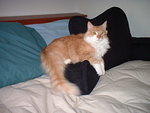 2003_0425PussyNMyHubby