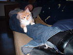 2002_1204LivingstonOnCootsie'sLeg