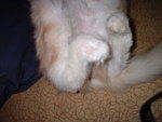 2002_1207SleepyToes