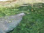 2004 1119 ALittleSchnoz