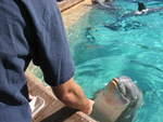 2004 1119 BobAndFlipper