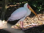 2004 1119 CheckOutThoseLegs