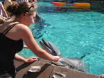2004 1119 ImTouchingADolphin