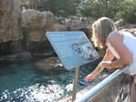 2004 1119 KristenFeedingSeals