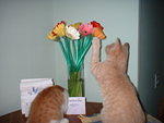 2005 0712 TheyLovedTheFlowers