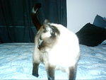 12.3.05 035.jpg