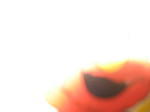 xmas06 038.jpg