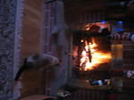 xmas06 043.jpg