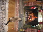 xmas06 044.jpg