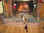 xmas06 046.jpg
