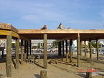 DSC00766.JPG