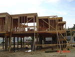 DSC00803.JPG