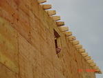 DSC00911.JPG