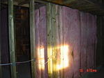 DSC01383.JPG