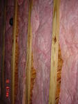 DSC01384.JPG
