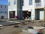 DSC01486.JPG