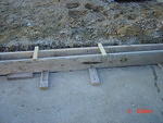 DSC01504.JPG