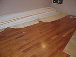DSC01511.JPG