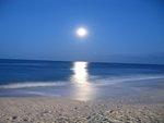 IMG_0866.JPG