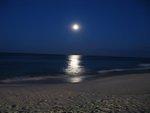 IMG_0869.JPG