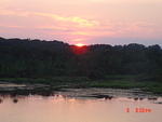 DSC01087.JPG