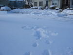 Kirsty's first snow angel!