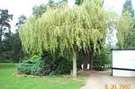 manhattan_july_2002_london_summer_2k2_086.jpg
