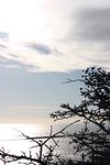 img_4607.jpg