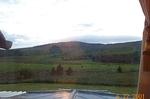 grouse and trout sheeps