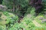 blair garden I