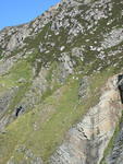 IMG_2519