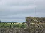 IMG_2557