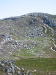 IMG_2611