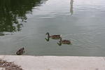 IMG_2843.JPG
