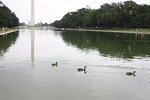 IMG_2845.JPG