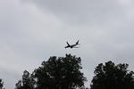 IMG_2857.JPG