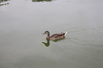 IMG_2860.JPG