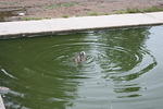 IMG_2866.JPG