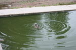 IMG_2867.JPG