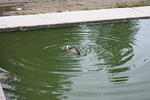 IMG_2868.JPG