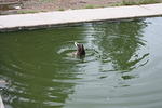 IMG_2870.JPG