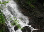 IMG_2276.JPG