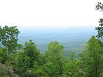 IMG_2292.JPG