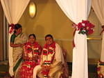 IMG_3235.JPG